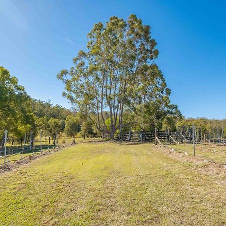 Widgereedoo Farm. Vineyard Views. Peaceful Retreat. Villa Tamaree Bagian luar foto