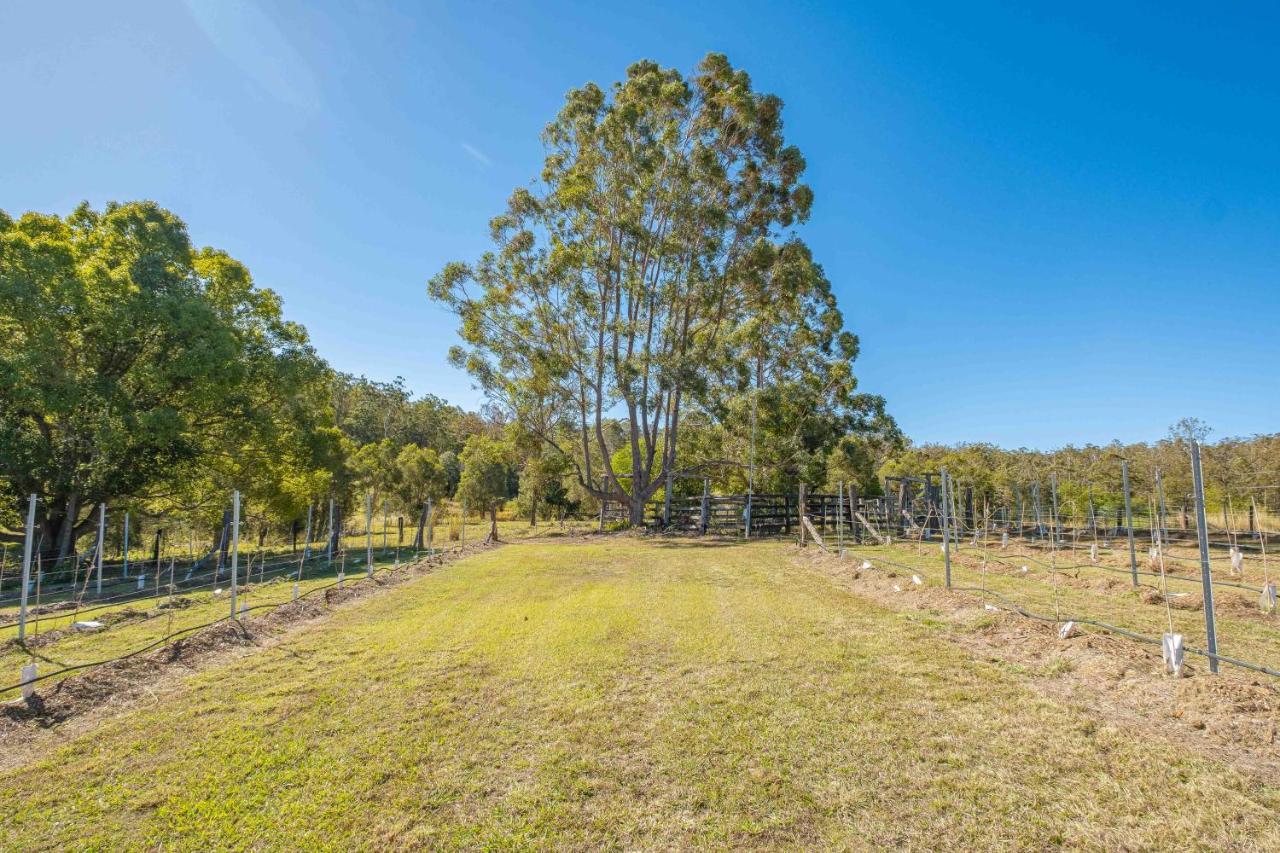 Widgereedoo Farm. Vineyard Views. Peaceful Retreat. Villa Tamaree Bagian luar foto