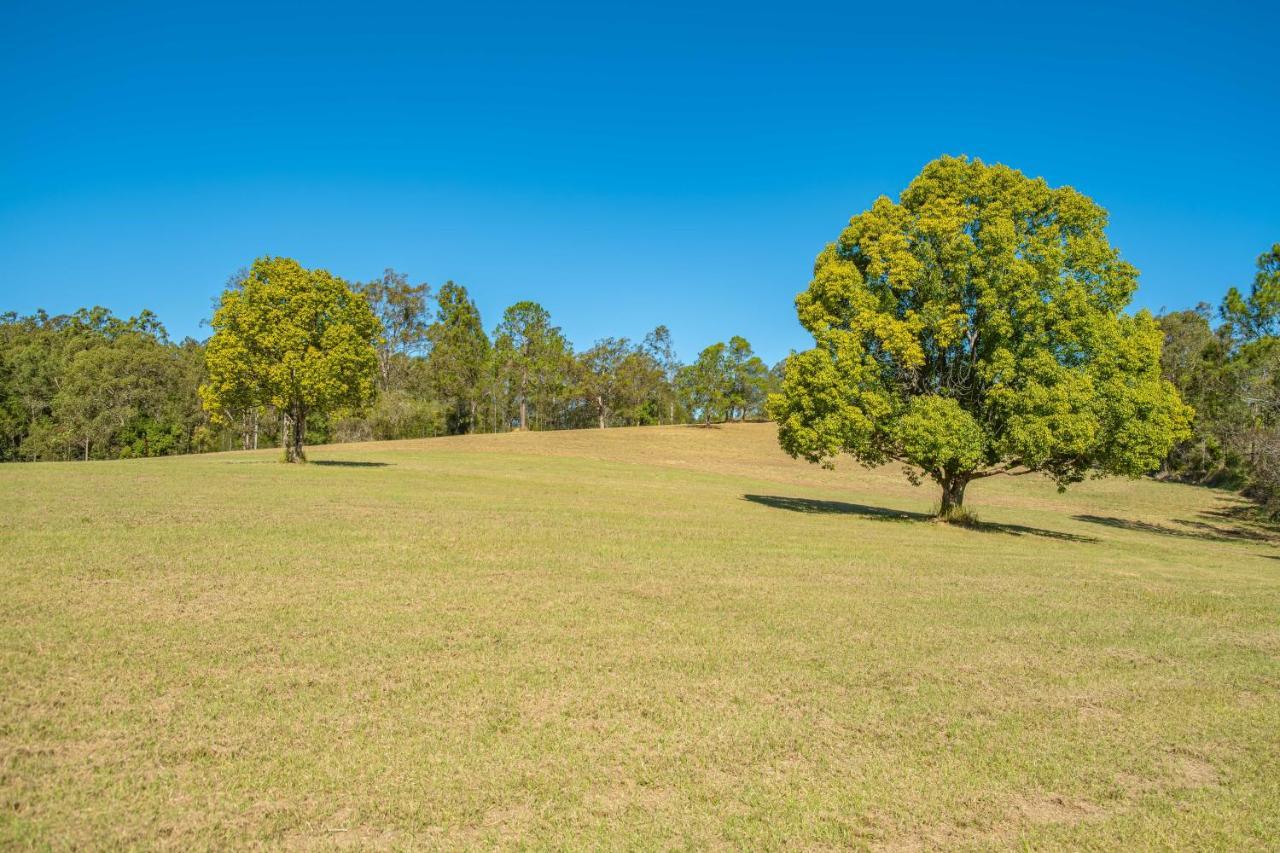 Widgereedoo Farm. Vineyard Views. Peaceful Retreat. Villa Tamaree Bagian luar foto